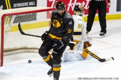 Sarnia-Sting-at-Windsor-Spitfires-February-8-2020-9