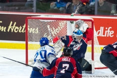 Windsor Spitfires vs Sudbury Wolves March 1 2018  (10)