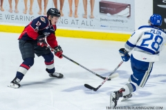 Windsor Spitfires vs Sudbury Wolves March 1 2018  (11)