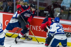 Windsor Spitfires vs Sudbury Wolves March 1 2018  (12)