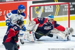 Windsor Spitfires vs Sudbury Wolves March 1 2018  (16)