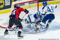 Windsor Spitfires vs Sudbury Wolves March 1 2018  (25)