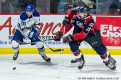 Windsor Spitfires vs Sudbury Wolves March 1 2018  (3)