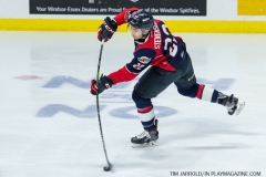 Windsor Spitfires vs Sudbury Wolves March 1 2018  (4)