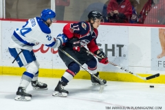 Windsor Spitfires vs Sudbury Wolves March 1 2018  (5)