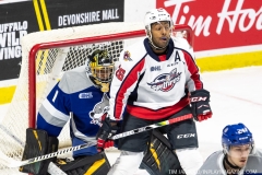 Sudbury-Wolves-vs-Windsor-Spitfires-October-27-2019-13