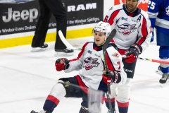 Sudbury-Wolves-vs-Windsor-Spitfires-October-27-2019-14