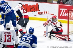Sudbury-Wolves-vs-Windsor-Spitfires-October-27-2019-15