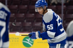 Sudbury-Wolves-vs-Windsor-Spitfires-October-27-2019-17