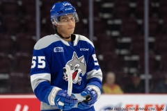Sudbury-Wolves-vs-Windsor-Spitfires-October-27-2019-18