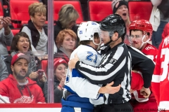 Red Wings vs Tampa Bay Jan 7 2018 (11)