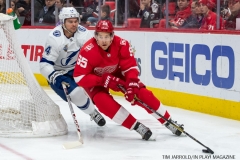 Red Wings vs Tampa Bay Jan 7 2018 (14)