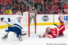 Red Wings vs Tampa Bay Jan 7 2018 (16)