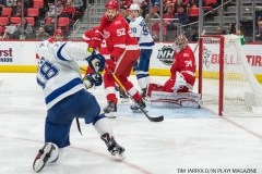 Red Wings vs Tampa Bay Jan 7 2018 (17)