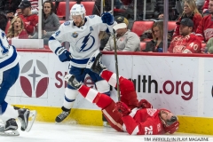 Red Wings vs Tampa Bay Jan 7 2018 (3)