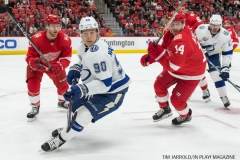 Red Wings vs Tampa Bay Jan 7 2018 (32)