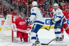 Red Wings vs Tampa Bay Jan 7 2018 (7)