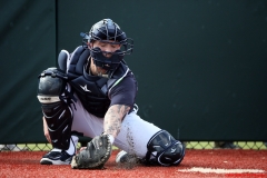 Detroit-Tigers-Spring-Training-February-12-2020-12