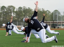 Detroit Tigers Spring Training 2018 (2)