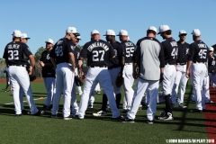 Detroit Tigers Spring Training 2018 (31)
