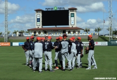 Detroit Tigers Spring Training 2018 (6)