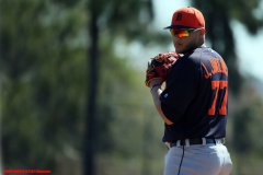 Detroit Tigers Spring Training Feb 17 2019 (1)