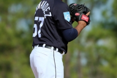 Detroit Tigers Spring Training Feb 19 2019 (9)