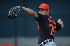 Detroit Tigers Spring Training Feb 20 2019 (2)