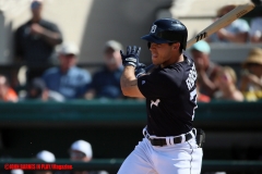 Detroit Tigers Spring Training Feb 22 2019 (11)