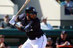 Detroit Tigers Spring Training Feb 22 2019 (12)