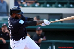 Detroit Tigers Spring Training Feb 22 2019 (15)