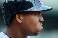 Tigers vs Indians July 29 2018 (13)