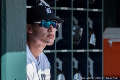 Tigers vs Oakland Sept 20 2017 15