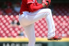 Tigers vs Reds June 20 2018 (15)