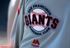 Tigers-vs-Giants-July-4-2017-13