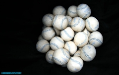 Tigers-vs-Tampa-Bay-June-18-01