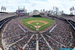 Tigers-vs-Tampa-Bay-June-18-05