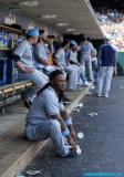 Tigers-vs-Tampa-Bay-June-18-06