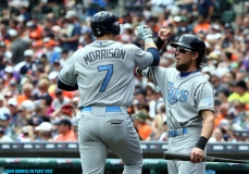 Tigers-vs-Tampa-Bay-June-18-11