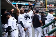 Tigers-vs-Yankees-Aug-24-2017-13