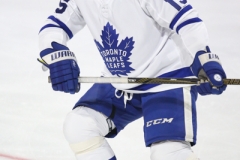 Toronto Maple Leafs Alumni