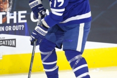 Toronto Maple Leafs Alumni