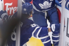 Toronto Maple Leafs