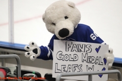 Toronto Maple Leafs