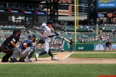 Tigers vs Twins June 14 2018 (11)