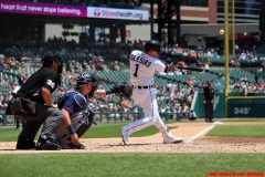 Tigers vs Twins June 14 2018 (8)