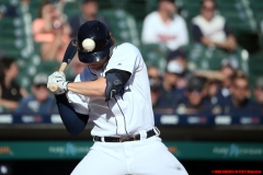 Twins-vs-Detroit-Tigers-September-26-2019-18
