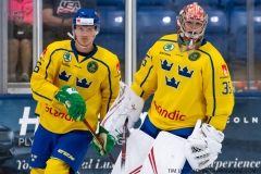 USA-Blue-vs-Sweden-July-27-2019-1