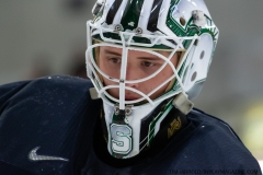 USA-Blue-vs-Sweden-July-27-2019-3