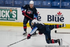 USA-Blue-vs-Sweden-July-27-2019-8